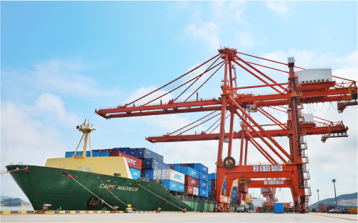 28圈状元岙港务分公司