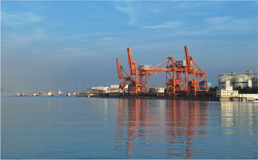 28圈口服务有限公司