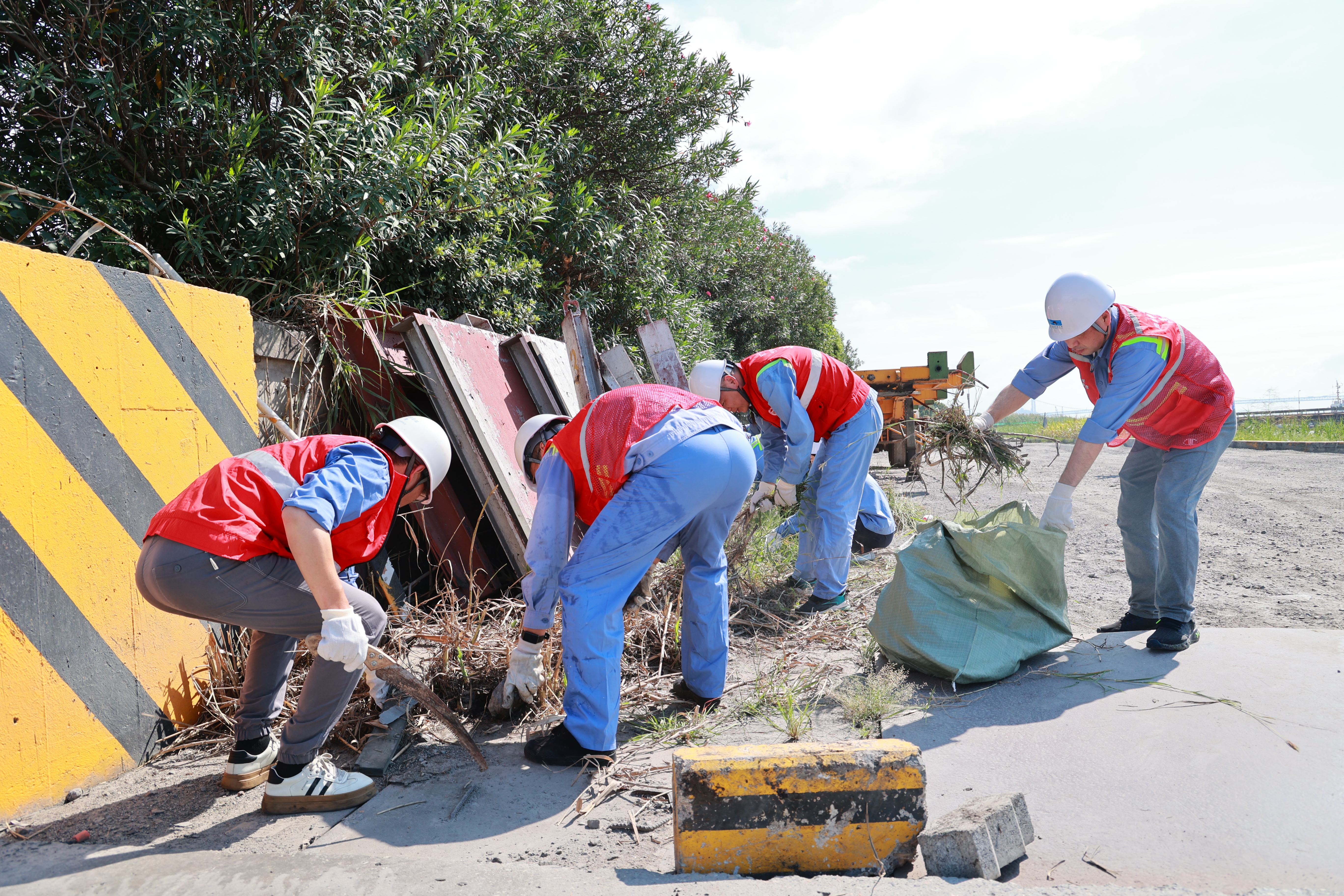 金洋公司组织开展港区情形卫生美化自愿服务活动
