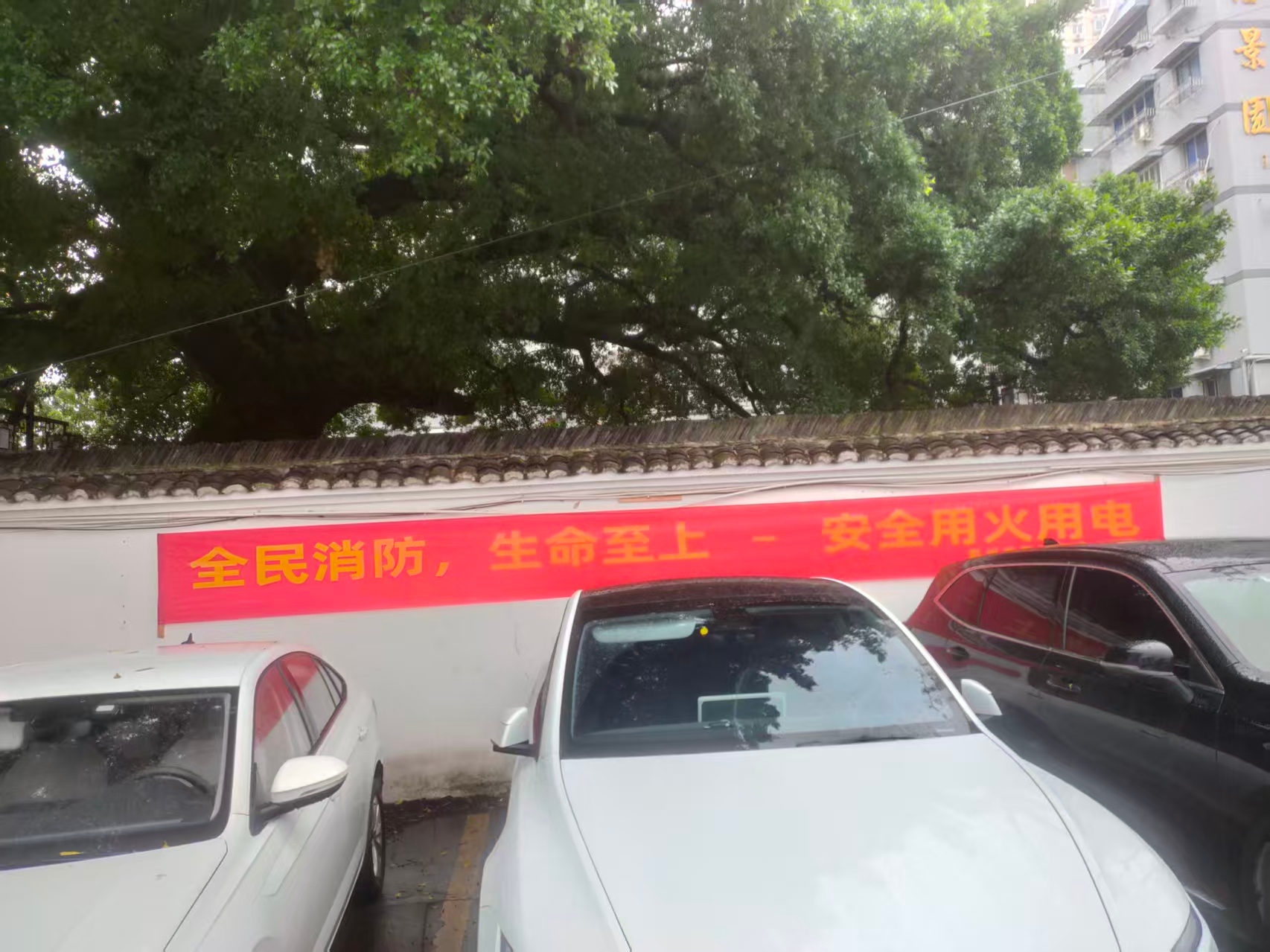 28圈(中国集团)官方网站