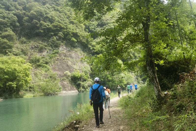 28圈(中国集团)官方网站